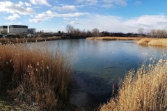 Röttgers im Winter